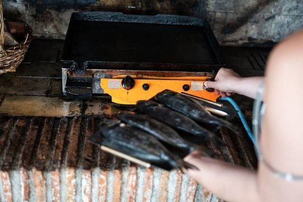 Pourquoi opter pour une plancha à gaz à 2 feux plutôt que 3 ?
